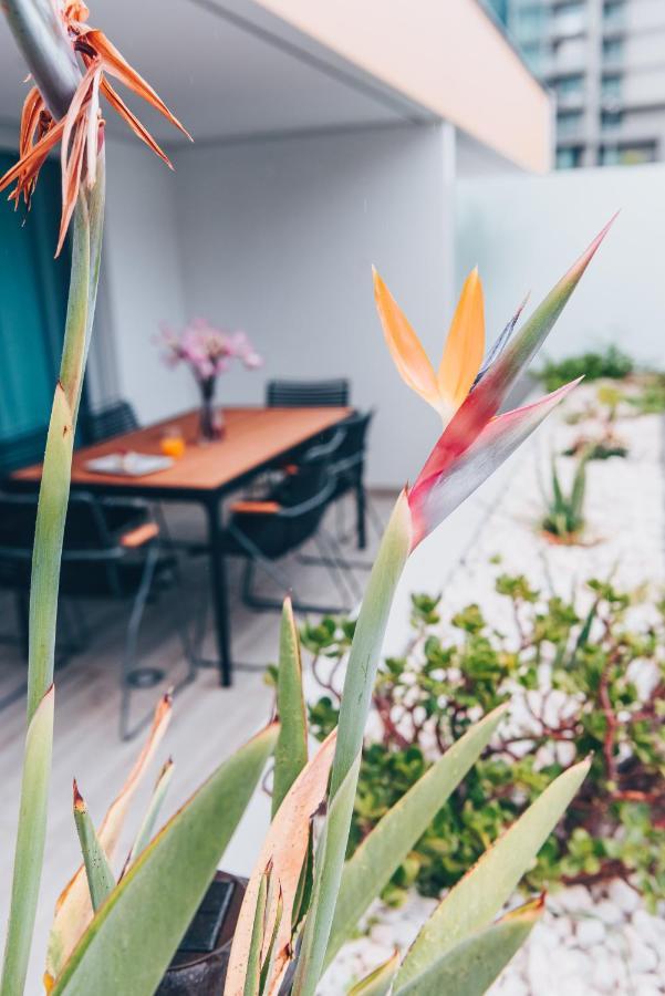 Elephant 2Br Apartment With Terrace, Side Sea View And Pool Access フンシャル エクステリア 写真